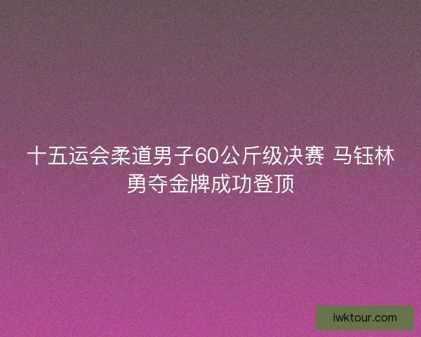 十五运会柔道男子60公斤级决赛 马钰林勇夺金牌成功登顶