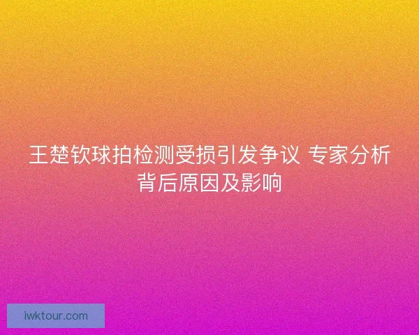 王楚钦球拍检测受损引发争议 专家分析背后原因及影响